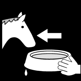 paard water geven